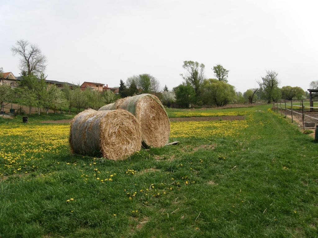 Vinný sklep Kovárna Rohatec Exteriér fotografie